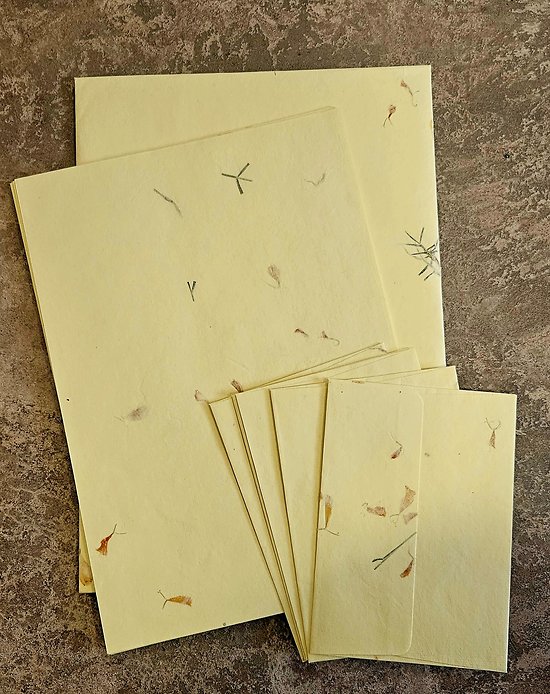 Ensemble feuilles et enveloppes avec pétales de calendula