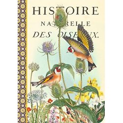 Cahier Histoire Naturelles des oiseaux 