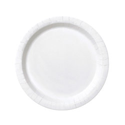 16 Assiettes en carton blanches 23 cm