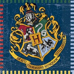 16 Serviettes 33 x 33 cm Harry Potter