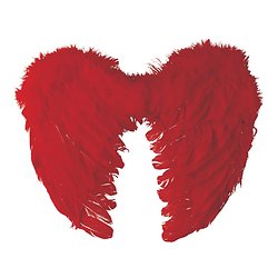 Ailes d'ange en plumes - 40x32 cm - rouge
