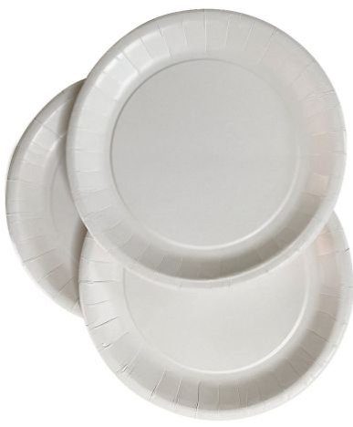 10 Assiettes carton blanc biodégradables 22 cm