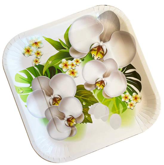 10 assiettes carton 22 cm. Décor orchidée
