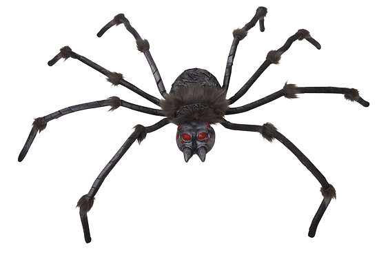 Araignée géante - grise - 120 cm