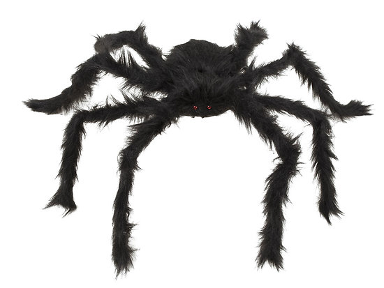 Araignée géante velue - 52 cm - noir