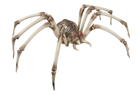 Araignée squelette géante lumineuse