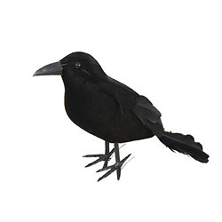 Corbeau en plumes - 12 cm - noir