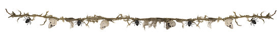 Guirlande têtes de mort et araignées - 2 m