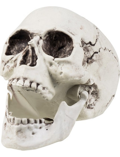 Décoration crâne 24 x 18 cm Halloween 