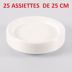25 Assiettes plastiques blanc 25 Cm