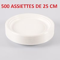 500 Assiettes plastiques blanc 25 Cm