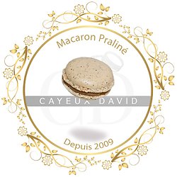 Macaron de Paris praliné