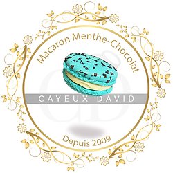 Macaron de Paris menthe-chocolat