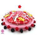 Gâteau de bonbons Anniversaire Fille avec bougie étoile  320mm