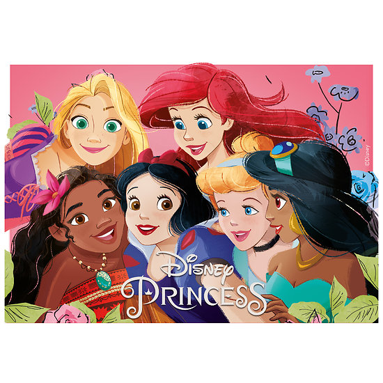 Plaque azyme Princesses Disney A5