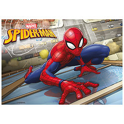 Plaque azyme Spiderman A5 