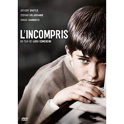 L'Incompris (Un film réalisé par Luigi Comencini - 1966) - DVD