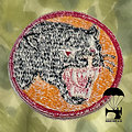 Patch 66th Infantry Division "Black Panther"
