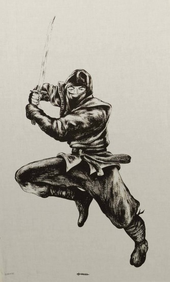 Poster Ninja en tissu