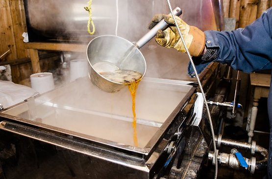 Maple syrup manufacturing