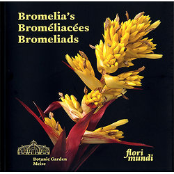 Bromelia's - Broméliacées - Bromeliads