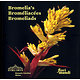 Bromelia's - Broméliacées - Bromeliads