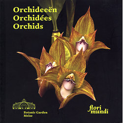 Orchideeën - Orchidées - Orchids