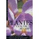 Plantes: un autre regard