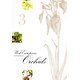 West European Orchids 3