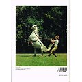 Dictionnaire encyclopédique : Le cheval, Jacques Tondra, PML Editions 1979.