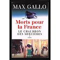 Morts pour la France, tome 1, Le chaudron des sorcières, Max Gallo, Fayard 2003.
