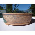 Pot ovale en grès pour bonsaï, ou composition de cactus ou de plantes succulentes