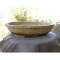 Pot ovale avec email clair rustique pour bonsaï ou composition de cactus ou plantes diverses