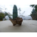 Petit pot pour kusamono, cactus plante succulente ou d'accompagnement