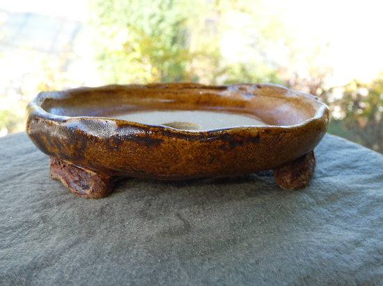Pot rond très plat pour bonsaï mame ou shohin
