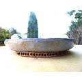 Pot rond plat pour bonsaï, ou composition de cactus ou sempervirum par exemple